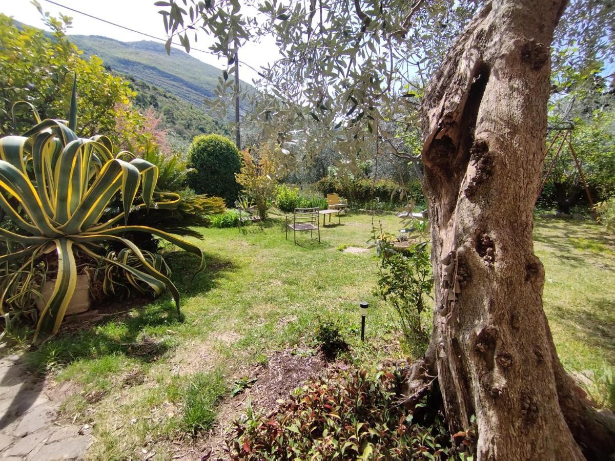 Casa Di Nin Apartman Torbole Sul Garda Kültér fotó