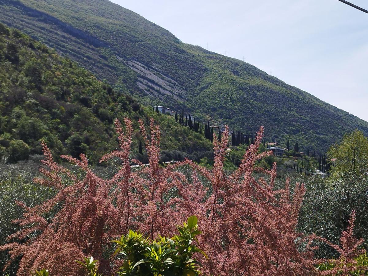 Casa Di Nin Apartman Torbole Sul Garda Kültér fotó